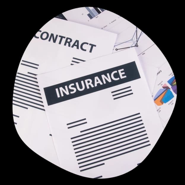 insurance-services-introduction