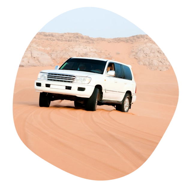desert-safari-adventure-introduction
