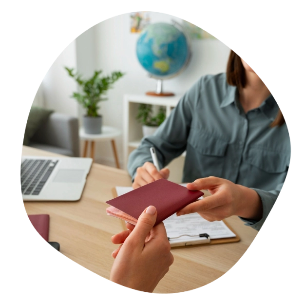 visa-assistance-introduction